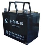 閥控式鉛酸蓄電池6GFM-75 12V75Ah(10HR)